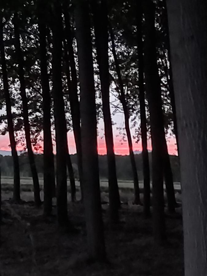 Durmiendo Entre Arboles, Bonita Cabana En La Rioja Anguciana Exteriér fotografie
